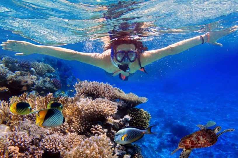 D N Snorkeling And Island Hopping Magical Islands Of Mersing Johor Min AMI Travel Tours